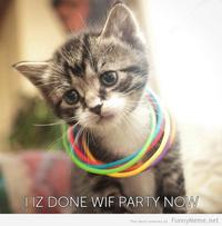 Cats
