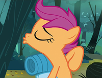 My Little Pony: Friendship is Magic