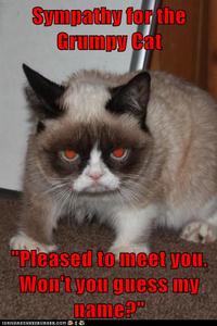 Grumpy Cat