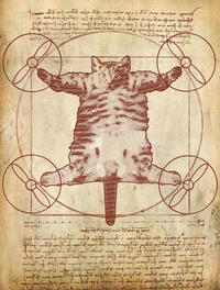 Orvillecopter / Helicopter Cat