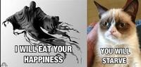 Grumpy Cat