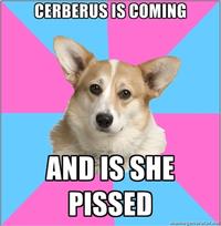 Critical Feminist Corgi