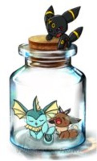 Bottle Meme