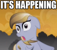 Pony Reactions