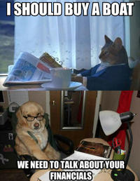 Financial Advice Dog