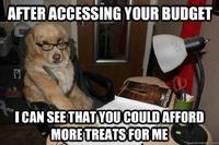 Financial Advice Dog