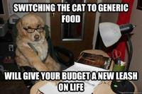Financial Advice Dog