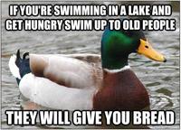 Actual Advice Mallard