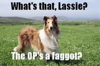 OP is a Faggot