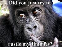 That Really Rustled My Jimmies
