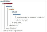 Night Blogging