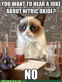 Grumpy Cat