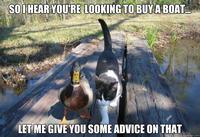 Actual Advice Mallard