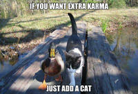 Karma Whore