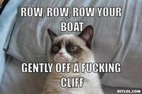 Grumpy Cat