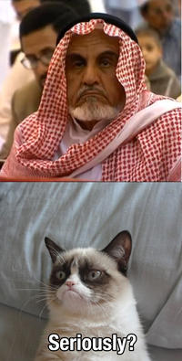 Grumpy Cat