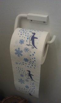 Socially Awkward Penguin