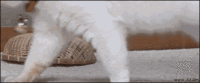 Filename Threads