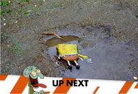 Inappropriate Timing Spongebob Banner