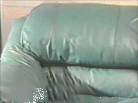 Fuck Yo Couch