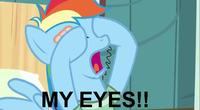 Pony Reactions