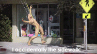 Going to the Store