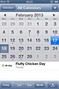 Peyton's Fluffy Chicken
