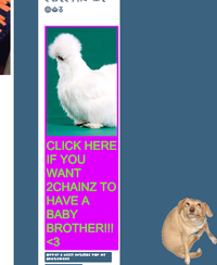 Peyton's Fluffy Chicken