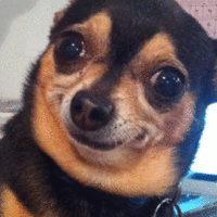 Vibrating GIFs