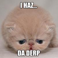 DERP