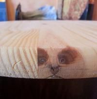 Things With Faces