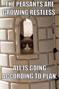 Grumpy Cat