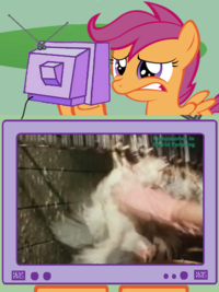 Fluttercry / Characters Watching Tv