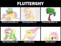 What People Think I Do / What I Really Do