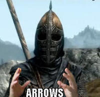 I Took an Arrow in the Knee