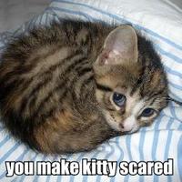 LOLcats