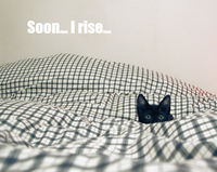 SOON