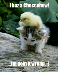 LOLcats