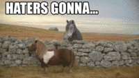 Haters Gonna Hate