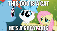 My Little Pony: Friendship is Magic
