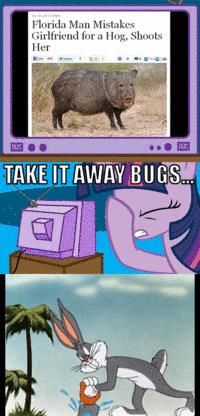 My Little Pony: Friendship is Magic