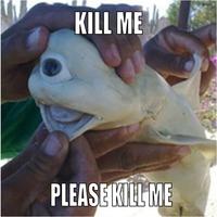 Kill Me