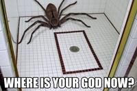 Where is Your God Now?