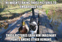 Actual Advice Mallard
