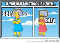 What Has Been Seen Cannot Be Unseen