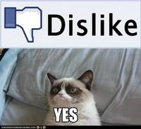 Grumpy Cat