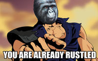 That Really Rustled My Jimmies
