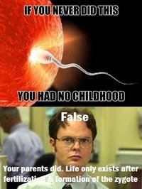 Schrute Facts