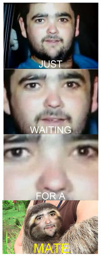 Just Waiting For A Mate