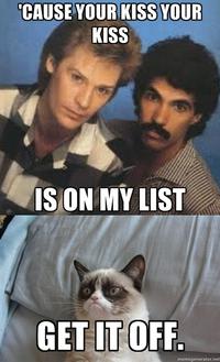 Grumpy Cat